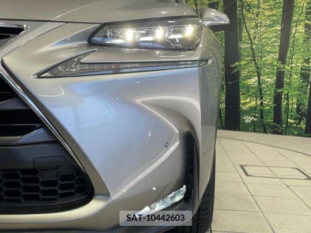 Lexus NX 2017-05 275610-12