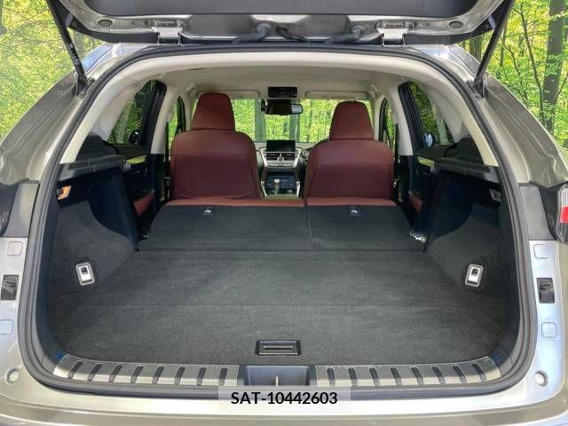 Lexus NX 2017-05 275610-10