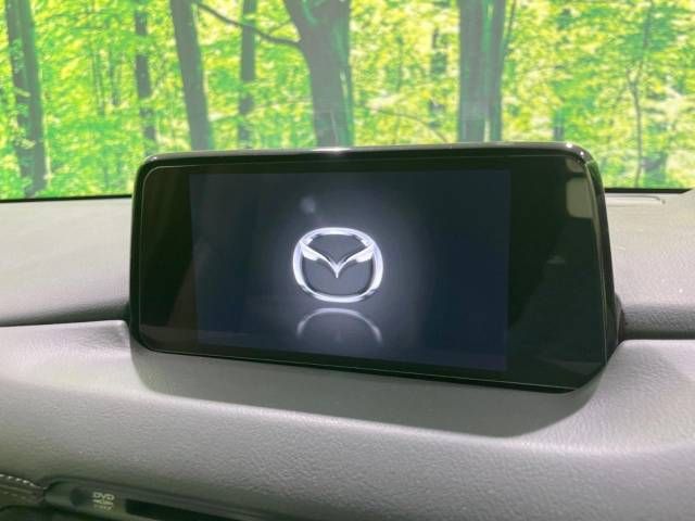 Mazda CX-8 2019-09 181345-3