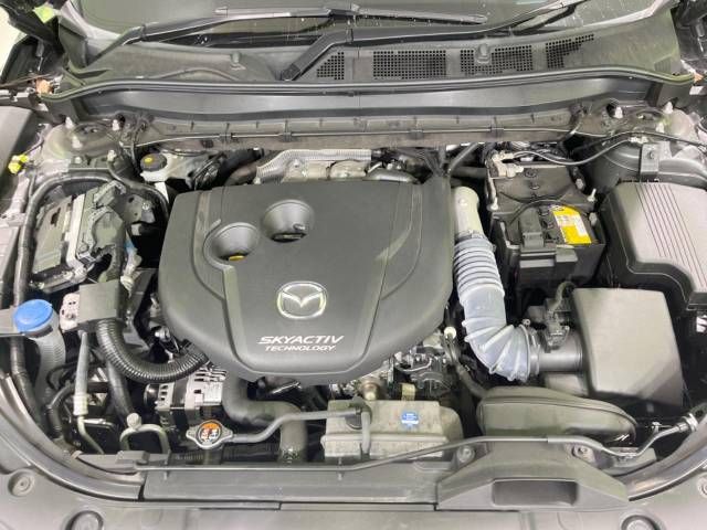 Mazda CX-8 2019-09 181345-18