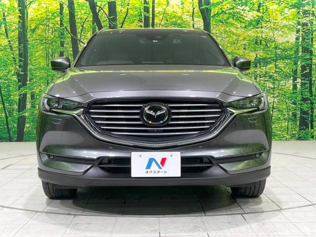 Mazda CX-8 2019-09 181345-14