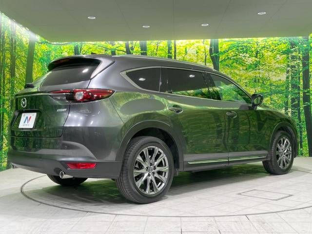 Mazda CX-8 2019-09 181345-17