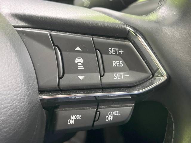 Mazda CX-8 2019-09 181345-5