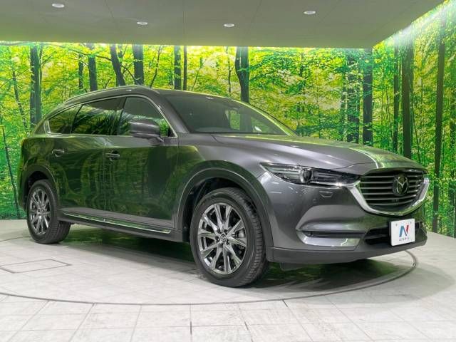 Mazda CX-8 2019-09 181345-16