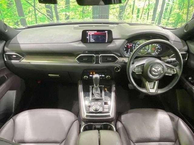 Mazda CX-8 2019-09 181345-1