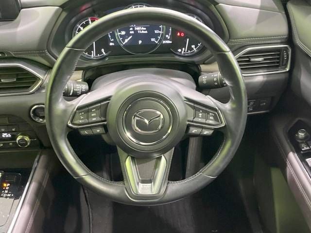 Mazda CX-8 2019-09 181345-11