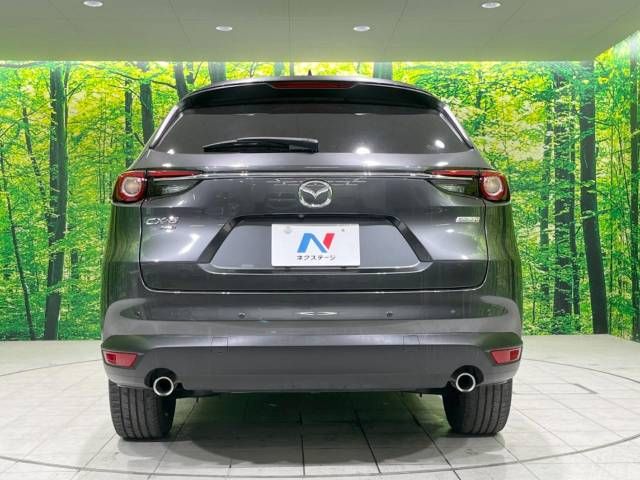 Mazda CX-8 2019-09 181345-15