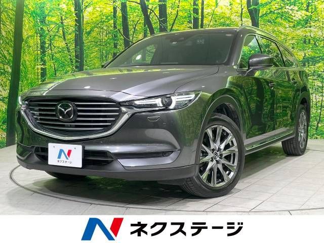Mazda CX-8 2019-09 181345-0