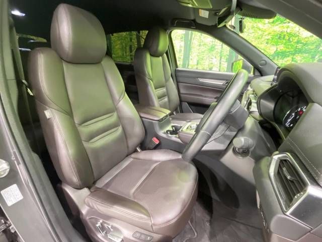 Mazda CX-8 2019-09 181345-7