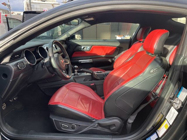 Ford MUSTANG 2017-06 184385-5
