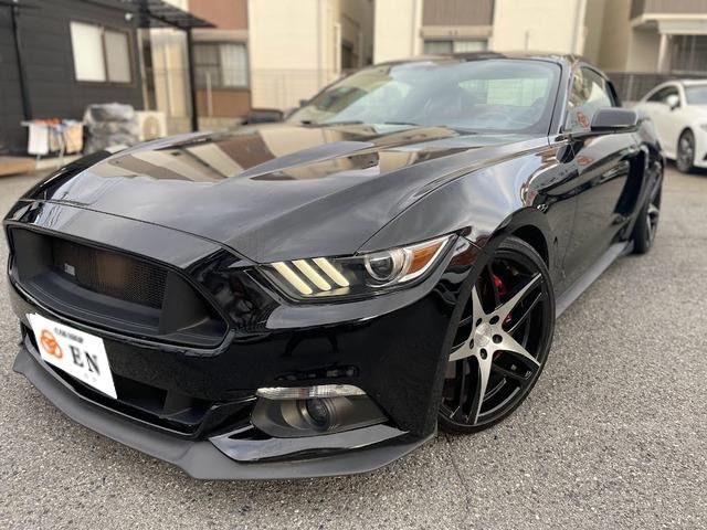 Ford MUSTANG 2017-06 184385-0