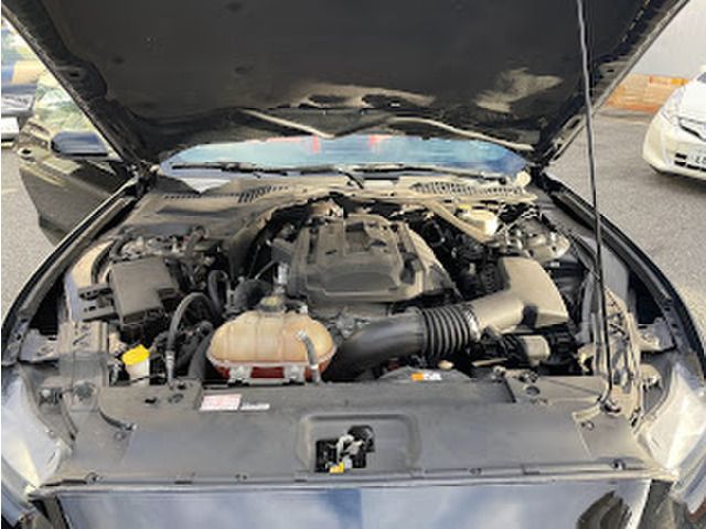 Ford MUSTANG 2017-06 184385-12