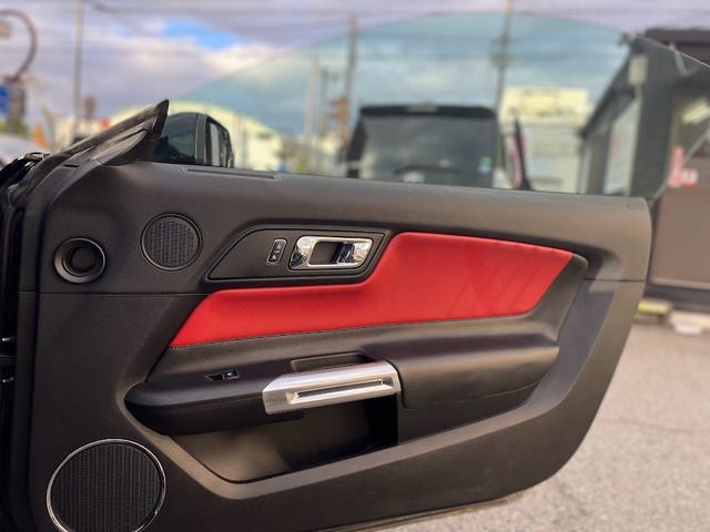Ford MUSTANG 2017-06 184385-9