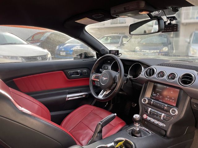 Ford MUSTANG 2017-06 184385-8
