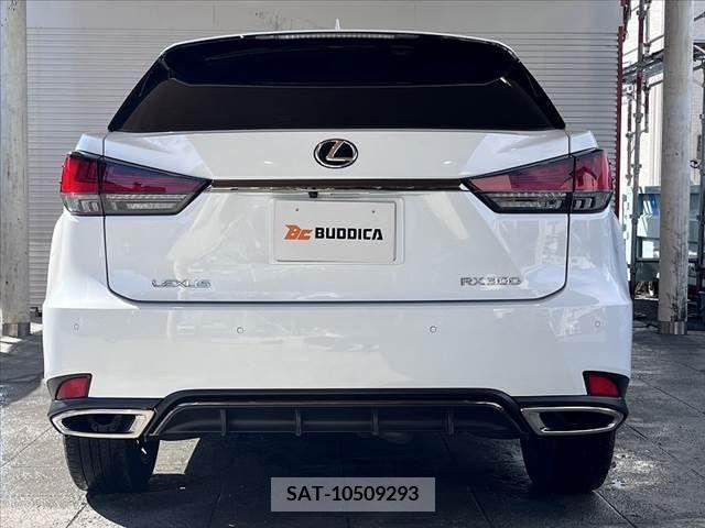 Lexus RX 2020-01 391931-12