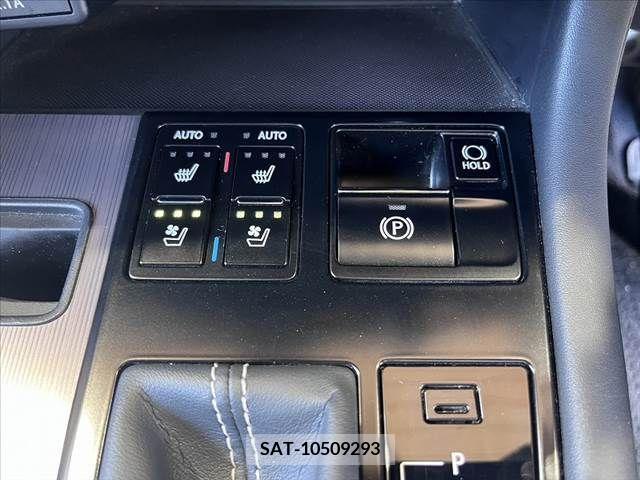 Lexus RX 2020-01 391931-4