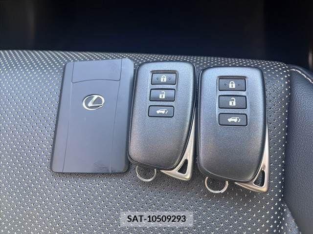 Lexus RX 2020-01 391931-28