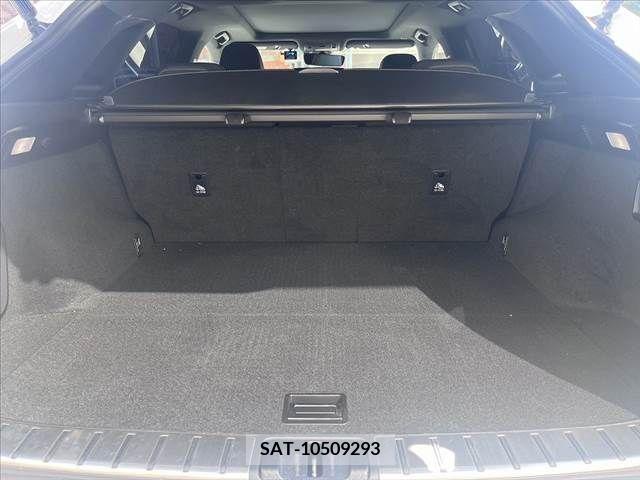 Lexus RX 2020-01 391931-19