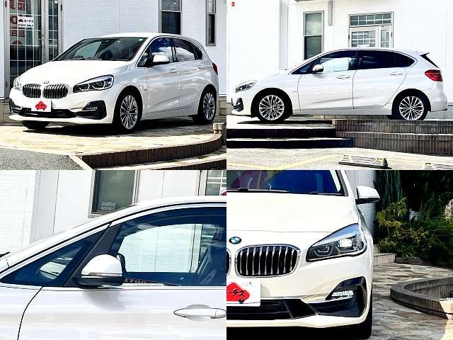 Bmw 2 SERIES 2019-06 5818-4