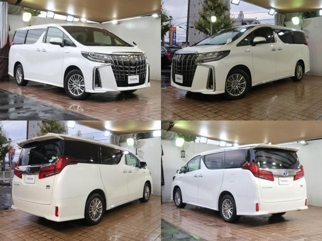 Toyota ALPHARD HYBRID 2021-02 181508-3