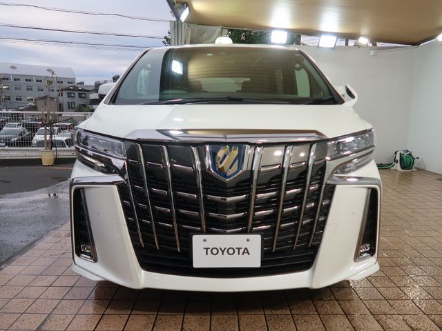 Toyota ALPHARD HYBRID 2021-02 181508-10