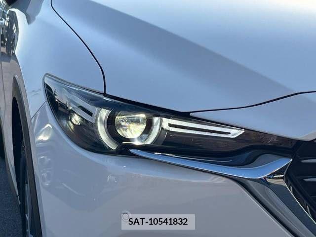 Mazda CX-8 2019-08 358822-16