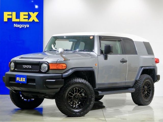 Toyota FJ CRUISER 2011-01 6638-0