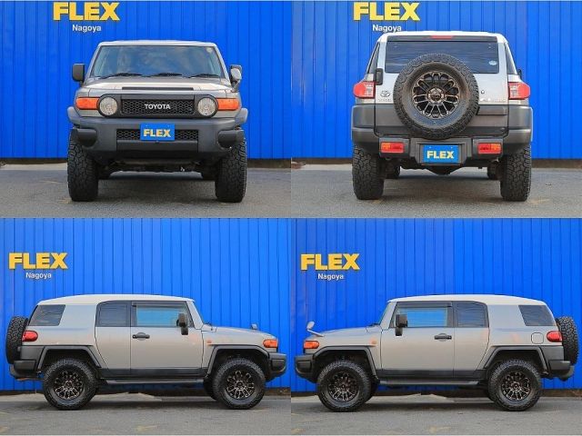 Toyota FJ CRUISER 2011-01 6638-4