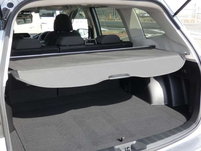 Subaru FORESTER 2019-01 527-27