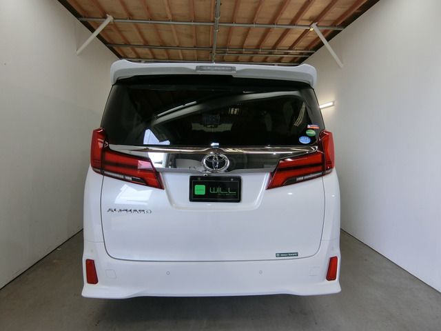 Toyota ALPHARD 2019-12 193989-10