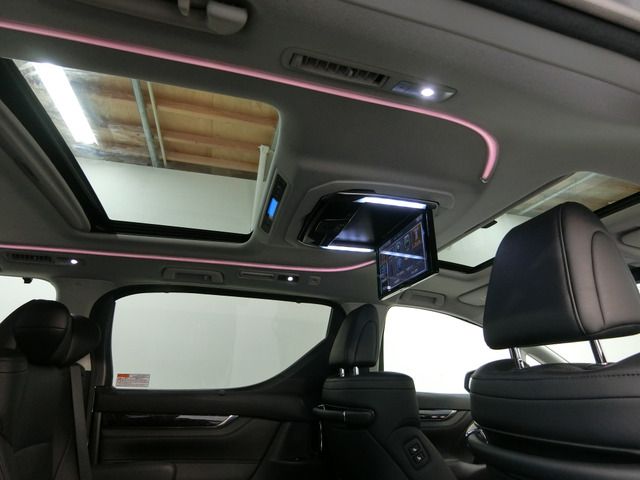 Toyota ALPHARD 2019-12 193989-6