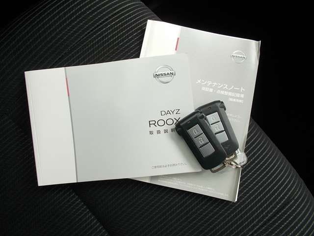 Nissan DAYZ ROOX 2018-01 22677-5