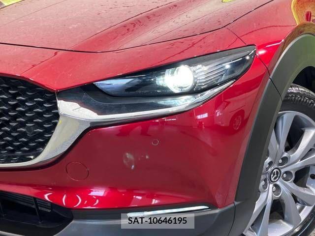 Mazda CX-30 2021-04 265586-12