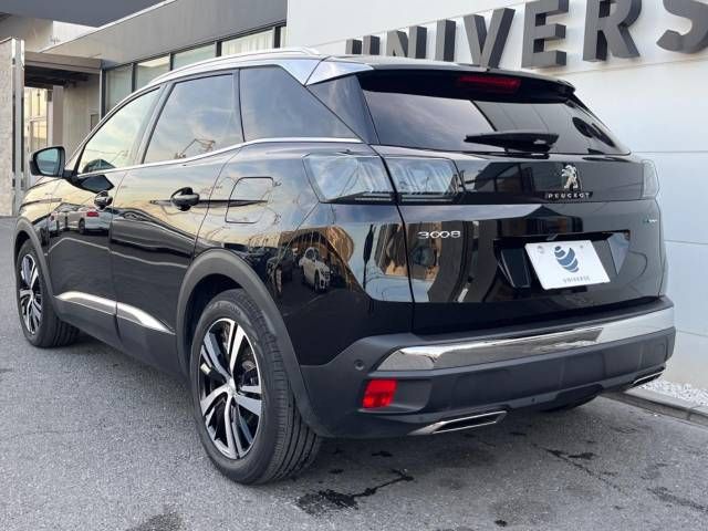 Peugeot 3008 2021-03 182025-18