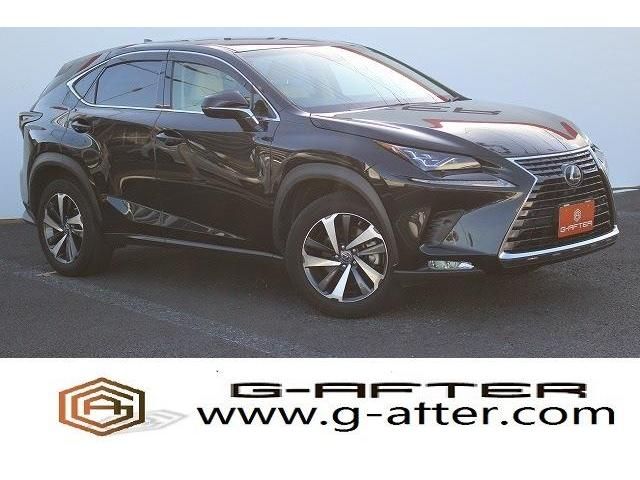 Lexus NX 2017-12 6195-0