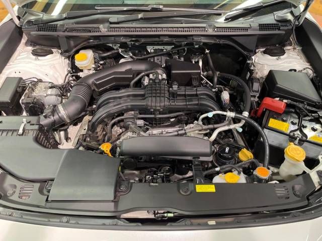 Subaru SUBARU 2018-09 29196-18