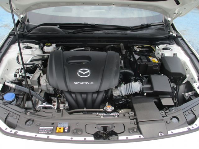Mazda MAZDA3 2020-07 4451-27