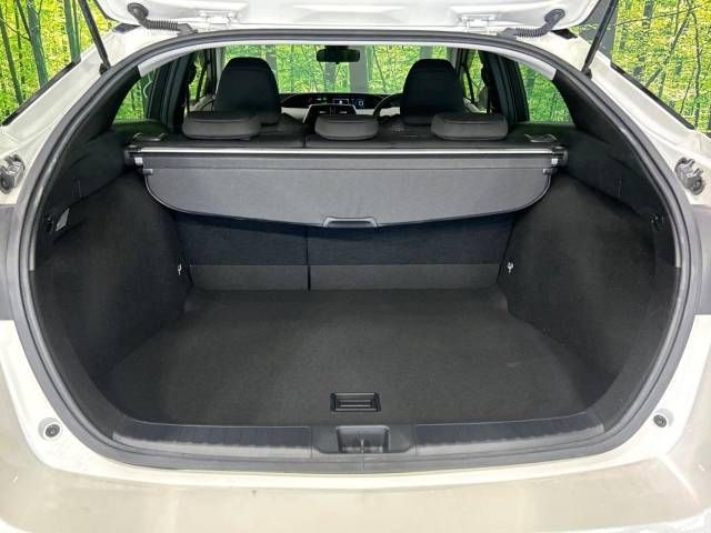 Toyota PRIUS 2019-06 11006-10
