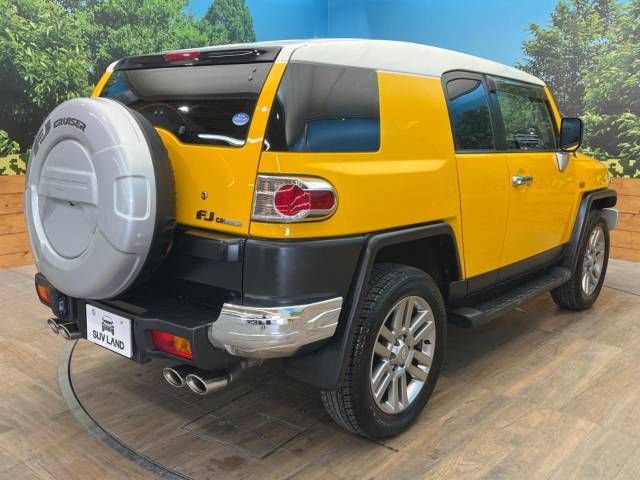 Toyota FJ CRUISER 2011-07 181313-17