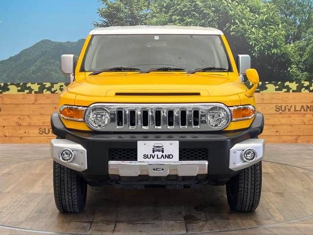 Toyota FJ CRUISER 2011-07 181313-14