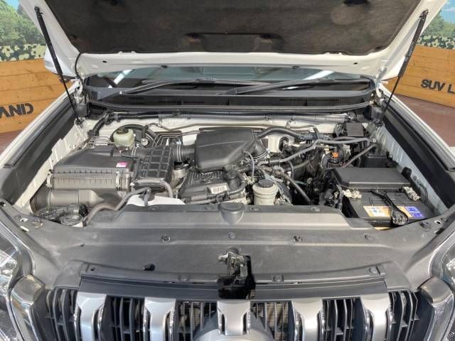 Toyota PRADO 2014-07 182364-19