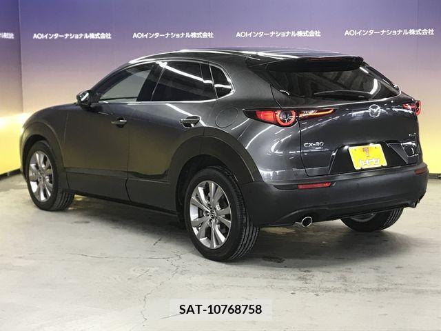 Mazda CX-30 2019-10 219466-12