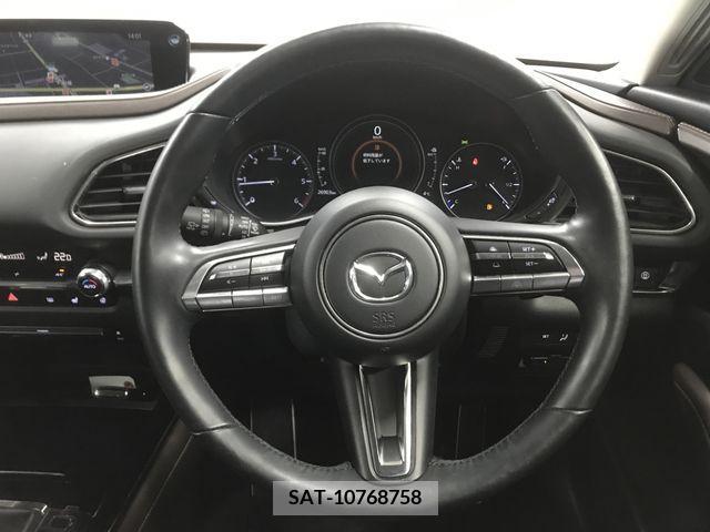 Mazda CX-30 2019-10 219466-18
