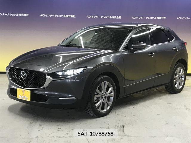 Mazda CX-30 2019-10 219466-7