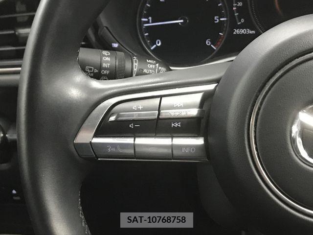 Mazda CX-30 2019-10 219466-19
