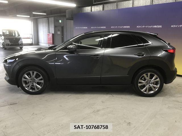 Mazda CX-30 2019-10 219466-8