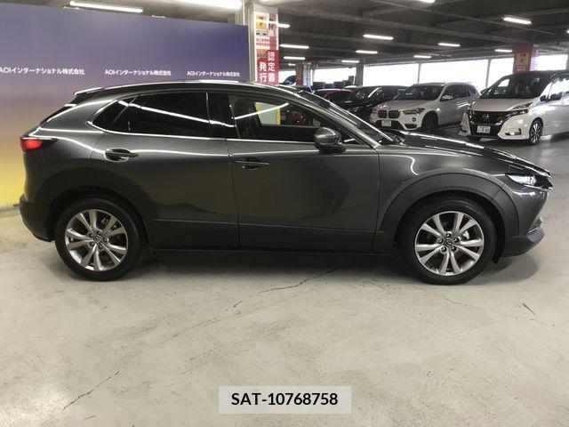 Mazda CX-30 2019-10 219466-9