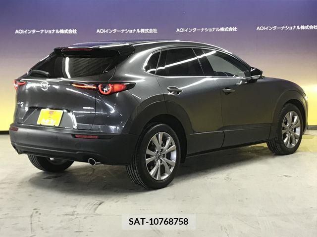 Mazda CX-30 2019-10 219466-11