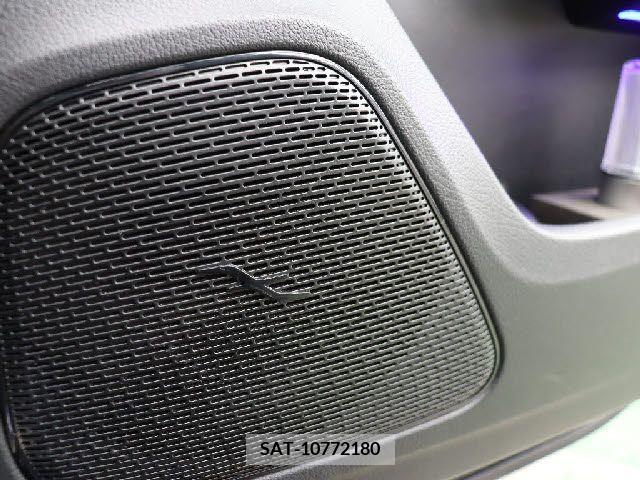 Amg A-Class 2020-08 215509-10