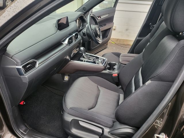 Mazda CX-8 2018-01 188694-7